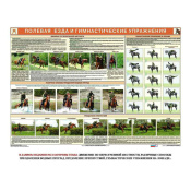 Комплект плакатов "Служебное коневодство"