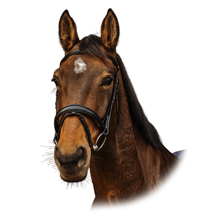 Оголовье трензельное Dark Поступление недоуздков и оголовьев