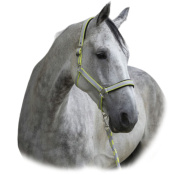 Комплект "SATINÉ” (недоуздок+чумбур) Комплект "SATINÉ” (недоуздок+чумбур)