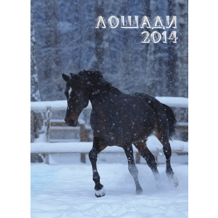 Календарь перекидной вертикальный А3 2014 г.(Калачева), 90009