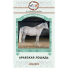 Арабская лошадь, Перепелова О.В. Арабская лошадь, Перепелова О.В.