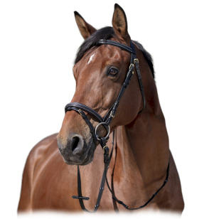 Оголовье трензельное "SURPIQUÉ" Оголовье трензельное "SURPIQUÉ"