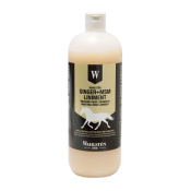 Линимент - Ginger + MSM, 1 л