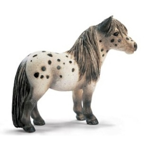 Жеребец фалабелла Жеребец фалабелла