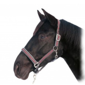 Комплект (недоуздок+чумбур) HKM Sternchen