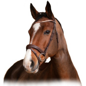 Оголовье трензельное "BRILLANT"