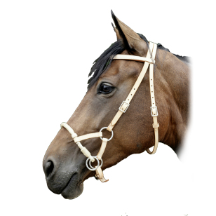 Сайд-пул Сайд-пул