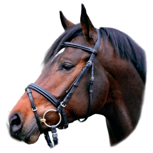 Оголовье трензельное с шведским капсюлем