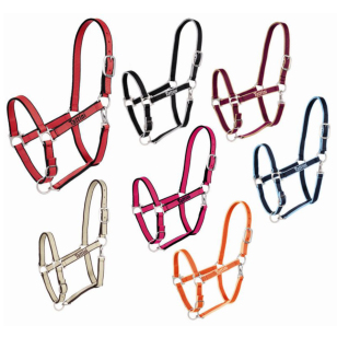 Недоуздок нейлоновый "Tattini", двойной двухцветный Недоуздок нейлоновый "Tattini", двойной двухцветный