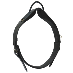 Гурта для иппотерапии Гурта для иппотерапии