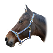 Недоуздок нейлоновый "POLYFUN" 