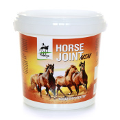 Подкормка для суставов "Horse joint+MSM", 500 г