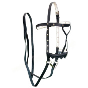 Узда выездная чепрак - сыромять Узда выездная чепрак - сыромять