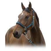 Комплект (недоуздок+чумбур) NORTON 