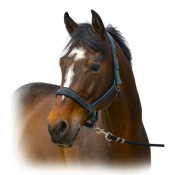 Недоуздок "Nylon Strass" 