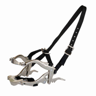 Зевник Зевник