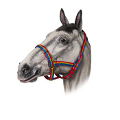 Недоуздок нейлоновый радужный "TAYGA"