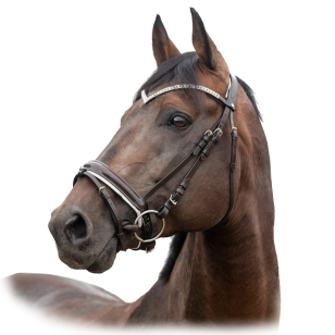 Оголовье трензельное "Grayson" 