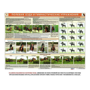 Комплект плакатов "Служебное коневодство"