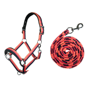 Комплект (недоуздок+чумбур) "HKM Prag" Комплект (недоуздок+чумбур) "HKM Prag"