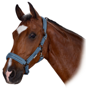 Недоуздок ESKADRON "Softslate Crystal Platinum'20"