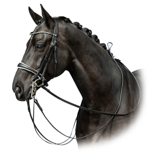 Оголовье мундштучное Dina