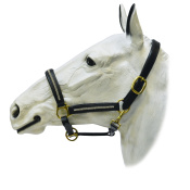 Недоуздок кожаный "ЕQUIМAN" со стразами