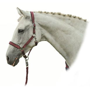 Недоуздок нейлоновый "Star" Недоуздок нейлоновый "Star"