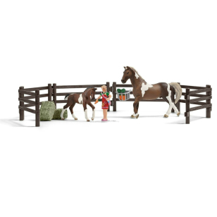 Набор кормление лошадей